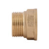 Переходник Thermo Alliance Standart 3/4"х3/4" ВЗ SD4092020 Перехідник Thermo Alliance Standart 3/4"х3/4" ВЗ SD4092020