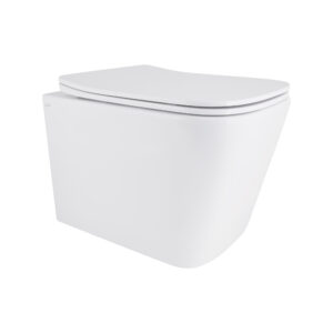 Унітаз підвісний Qtap Tern із сидінням Soft-close QT17332303ASW Унітаз підвісний Qtap Tern із сидінням Soft-close QT17332303ASW