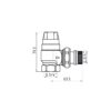 Клапан кутовий на зворотну лінію з підвищеною прохідністю Thermo Alliance Forte (Kvs - 3,8 m3/h) 3/4" TAF0021W25 Клапан кутовий на зворотну лінію з підвищеною прохідністю Thermo Alliance Forte (Kvs - 3,8 m3/h) 3/4" TAF0021W25